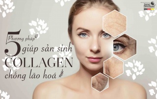 5 PHƯƠNG PHÁP GIÚP SẢN SINH COLLAGEN, CHẬM LẠI QUÁ TRÌNH LÃO HÓA