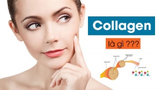 Điểm danh top 4 loại collagen tốt nhất hiện nay