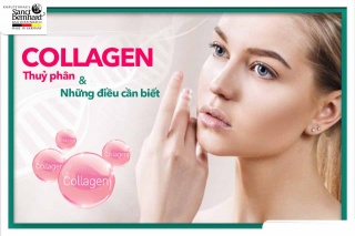 Collagen thủy phân và những điều cần biết