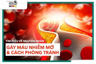 TÌM HIỂU VỀ NGUYÊN NHÂN GÂY MÁU NHIỄM MỠ